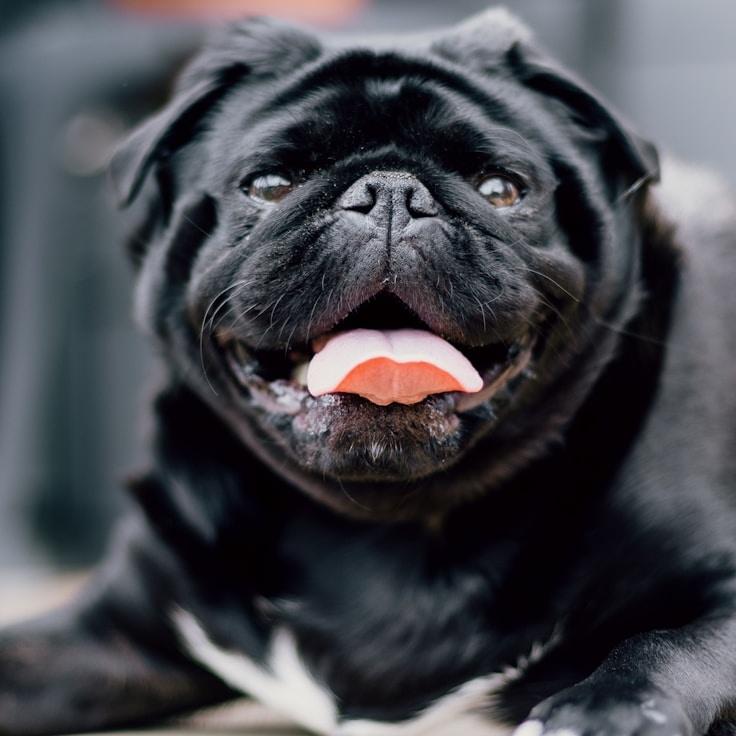 Sofia Garcia - Founder of OpyrYfozApesOapu